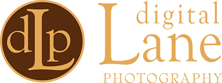 Digital Lane Photography " Awesome and Amazing Senior Photo's "